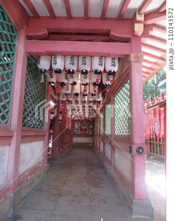長田神社 提灯 長田神社 提灯 110143572
