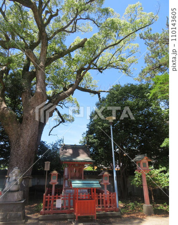 長田神社 110143605