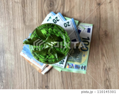Financial planning, the concept of investing money and growth. A small green plant growing from euro banknotes. 110145301