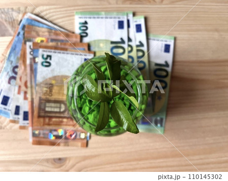 Money tree sprout and paper money euro . The growth of the euro in price. 110145302