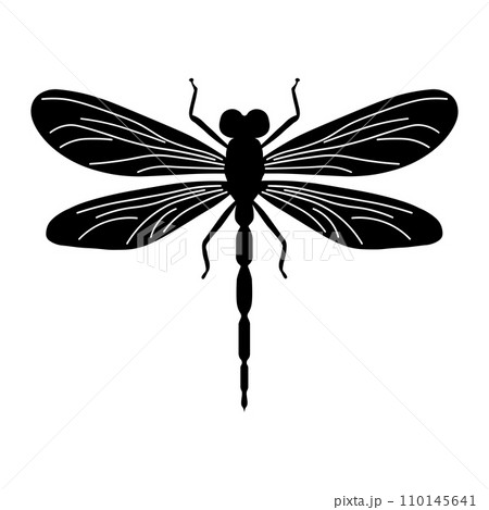 Dragonfly black vector icon on white background Dragonfly black vector icon on white background 110145641