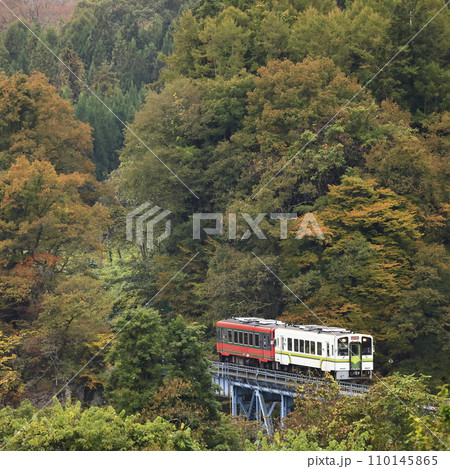 紅葉の会津鉄道 110145865