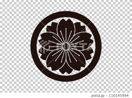 Yaewa cherry blossoms in a circle 110145994