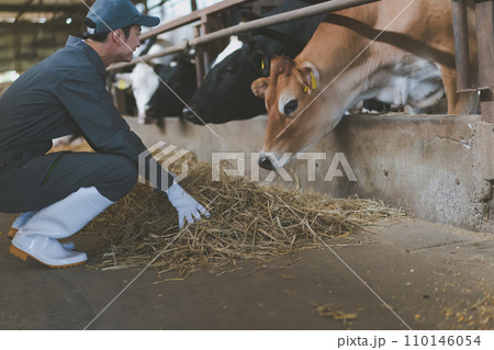 ranch 110146054