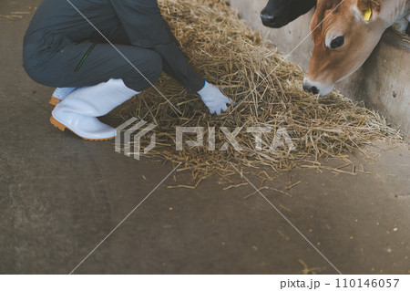 ranch 110146057