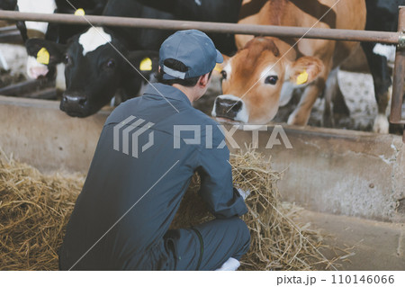 ranch 110146066