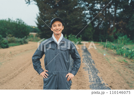 vegetable field vegetable field 110146075