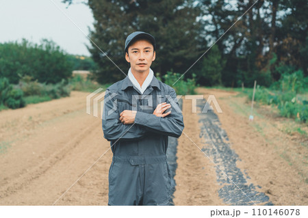 vegetable field 110146078