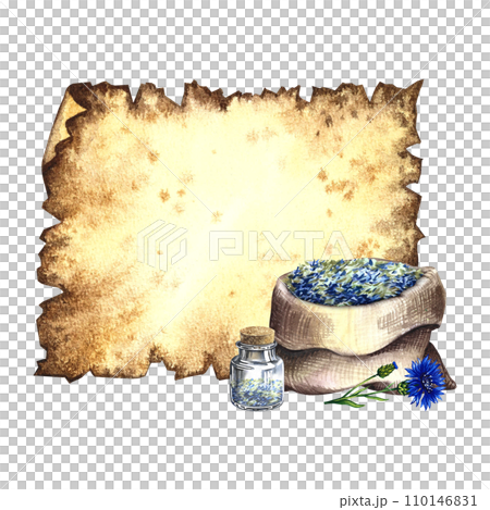Old parchment for inscriptions with medicinal cornflower, useful herbs, dried, crushed. A hand-drawn watercolor illustration For pharmacy preparations and spa care. 110146831