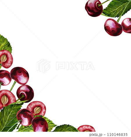 A frame with ripe and juicy cherries. Watercolor illustration, hand-drawn, corner frame. For the design of labels, packaging and banners. For textiles, prints and stickers. For menus, invitation card A frame with ripe and juicy cherries. Watercolor illustration, hand-drawn, corner frame. For the design of labels, packaging and banners. For textiles, prints and stickers. For menus, invitation card 110146835