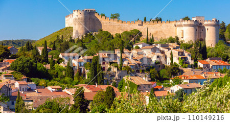 Aerial view to Avignon, France 110149216