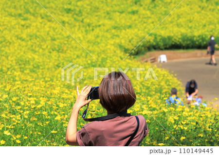 花畑の写真を撮る女性 110149445
