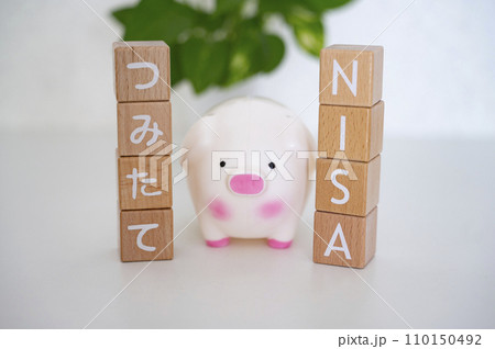 つみたてNISA つみたてNISA 110150492