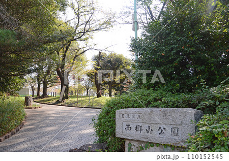 富士山が見渡せる西郷山公園 富士山が見渡せる西郷山公園 110152545