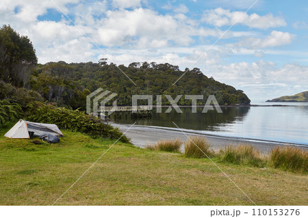 Seaside landscape with camping site in Stewart Island, New Zealand 110153276