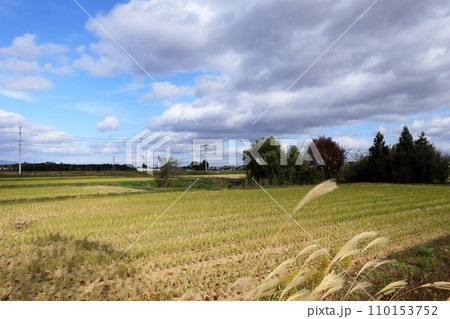 日本・栃木の秋 110153752
