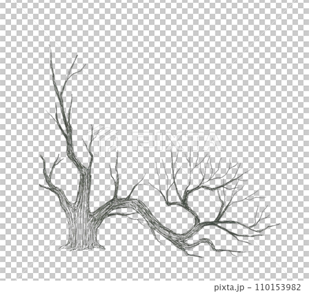 乾旱地區枯死的樹 110153982