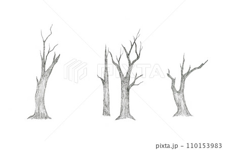 乾燥地帯にある様々な形の朽ち木 乾燥地帯にある様々な形の朽ち木 110153983