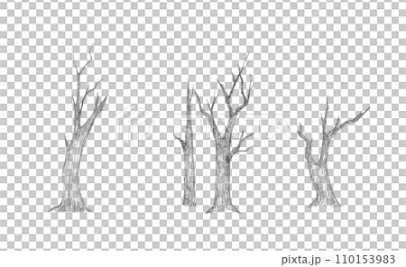 乾燥地帯にある様々な形の朽ち木 乾燥地帯にある様々な形の朽ち木 110153983