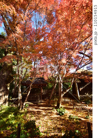 京都洛北 蓮華寺 110154915