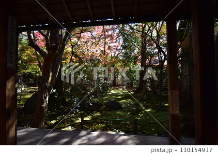 京都洛北 蓮華寺 110154917