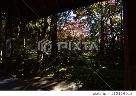 京都洛北 蓮華寺 110154918