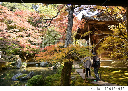 京都洛北 蓮華寺 京都洛北 蓮華寺 110154955