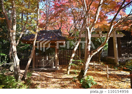 京都洛北 蓮華寺 京都洛北 蓮華寺 110154956
