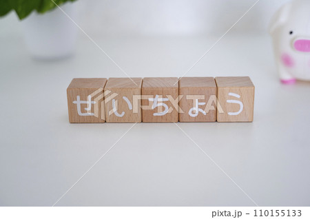 新NISA成長投資枠 新NISA成長投資枠 110155133