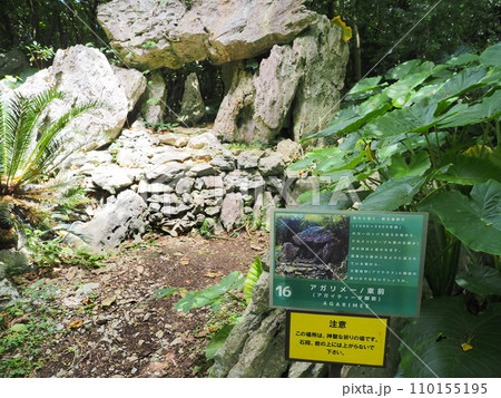 アガリメーと案内板/やんばる国立公園・大石林山(沖縄県国頭郡国頭村) アガリメーと案内板/やんばる国立公園・大石林山(沖縄県国頭郡国頭村) 110155195