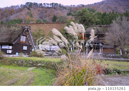世界遺産の白川郷、自然を生かし伝統と知恵の技、合掌造りの集落。 世界遺産の白川郷、自然を生かし伝統と知恵の技、合掌造りの集落。 110155261