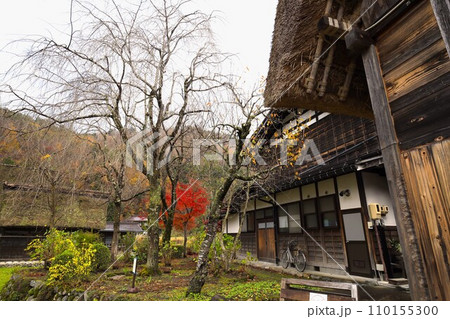 世界遺産の白川郷、自然を生かし伝統と知恵の技、合掌造りの集落。 世界遺産の白川郷、自然を生かし伝統と知恵の技、合掌造りの集落。 110155300