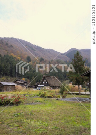 世界遺産の白川郷、自然を生かし伝統と知恵の技、合掌造りの集落。 世界遺産の白川郷、自然を生かし伝統と知恵の技、合掌造りの集落。 110155301