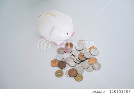 かわいい豚の貯金箱と硬貨 110155507