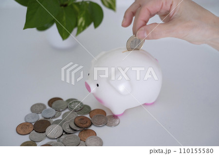 豚の貯金箱に硬貨を入れる女性の手 110155580
