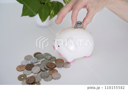 豚の貯金箱に硬貨を入れる女性の手 豚の貯金箱に硬貨を入れる女性の手 110155582