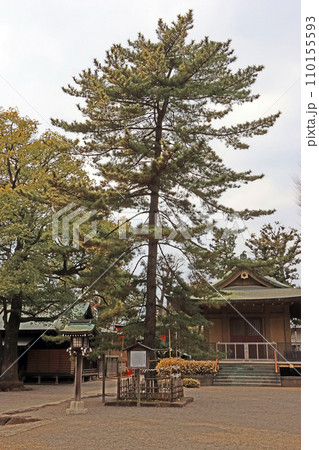 井草八幡宮（杉並） 110155593