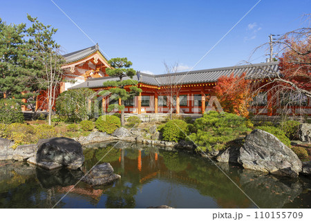 蓮華王院 三十三間堂の庭園 蓮華王院 三十三間堂の庭園 110155709