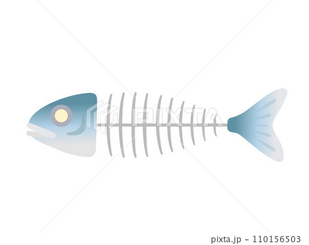 魚の骨 魚の骨 110156503
