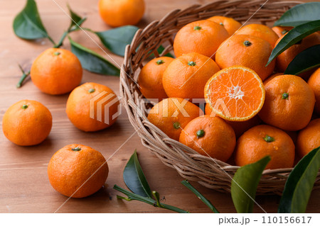 冬の味覚 とっても甘くておいしい小粒みかん 温州みかん 110156617