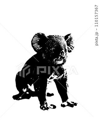 silhouette of koala model stand isolated on white background 110157367