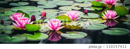 美しいピンクのスイレンの花。美しい自然環境や精神性の高さや慈悲と悟りのための禅。バナー。AI生成画像 110157411