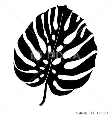 Monstera tropical leaves, greenery design element Monstera leaves, jungle plant. Silhouette of monstera leaf for logo or card ,scrapbook design. Vector illustration, isolate on white background 110157801