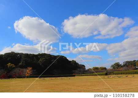 大宰府政庁跡　太宰府　福岡県　紅葉　史跡 110158278