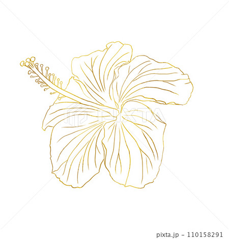 Gold foil tropical hibiscus flower. Chinese rose flower. Hand drawn vector line art illustration for logo, card or invite, tea herbs hibiscus tea. Isolated on white background 110158291