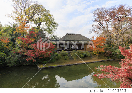秋の紅葉に映える日本庭園 (京都 桂離宮) 秋の紅葉に映える日本庭園 (京都 桂離宮) 110158554
