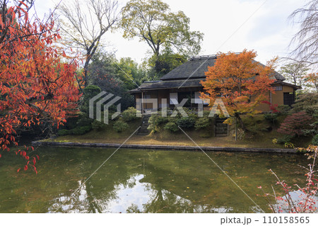 秋の紅葉に映える日本庭園 (京都 桂離宮) 110158565