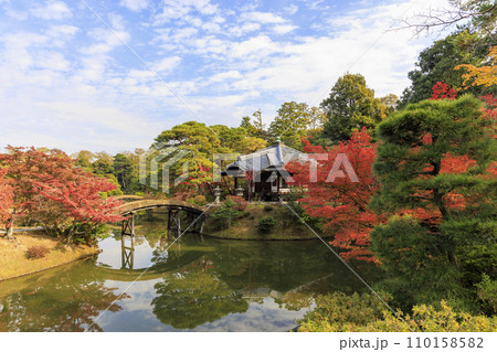 秋の紅葉に映える日本庭園 (京都 桂離宮) 秋の紅葉に映える日本庭園 (京都 桂離宮) 110158582