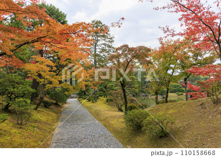 秋の紅葉に映える日本庭園 (京都 桂離宮) 110158668