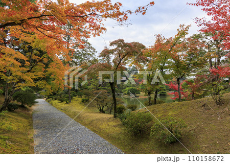 秋の紅葉に映える日本庭園 (京都 桂離宮) 110158672